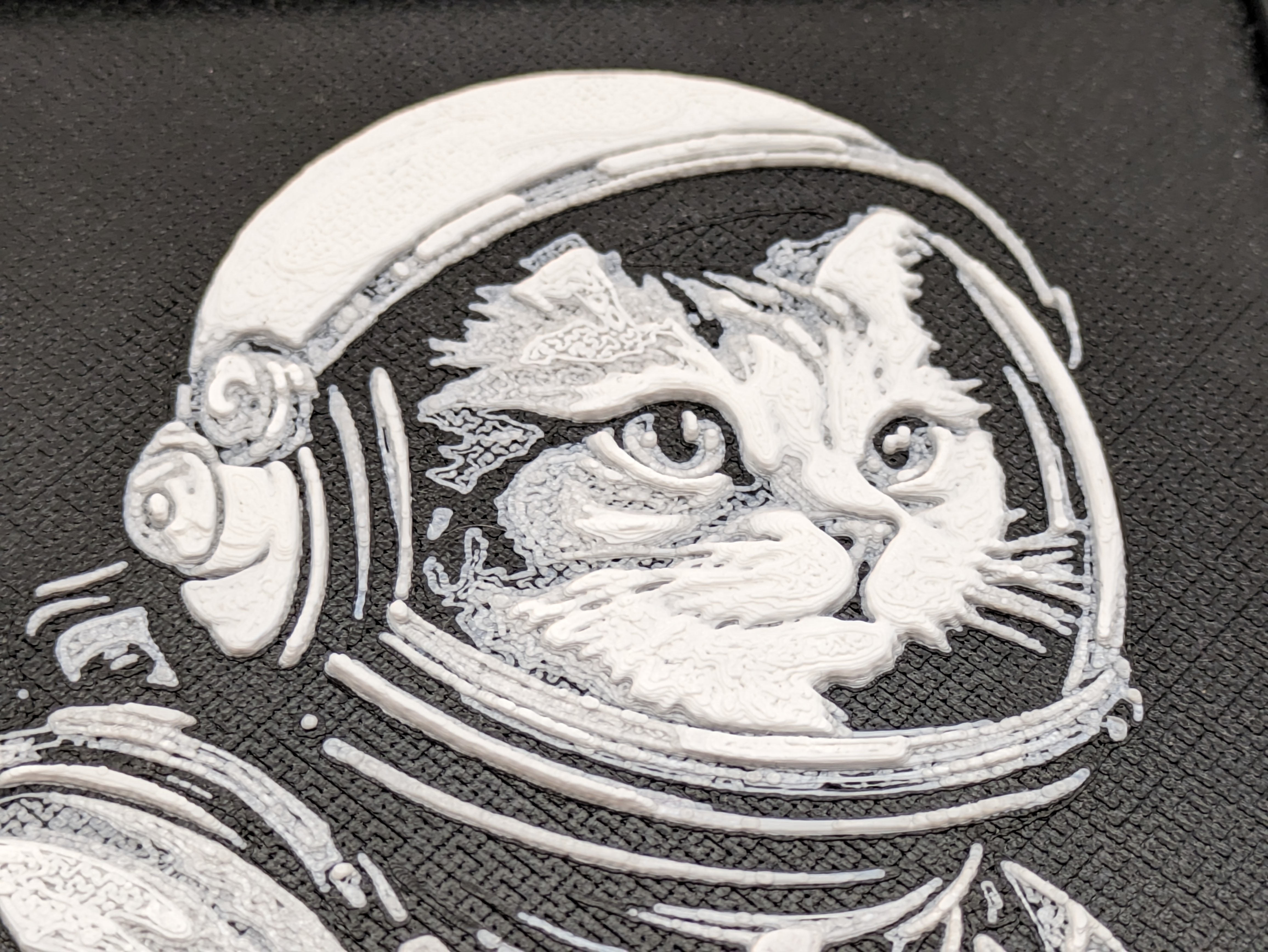 Space Cat Portrait