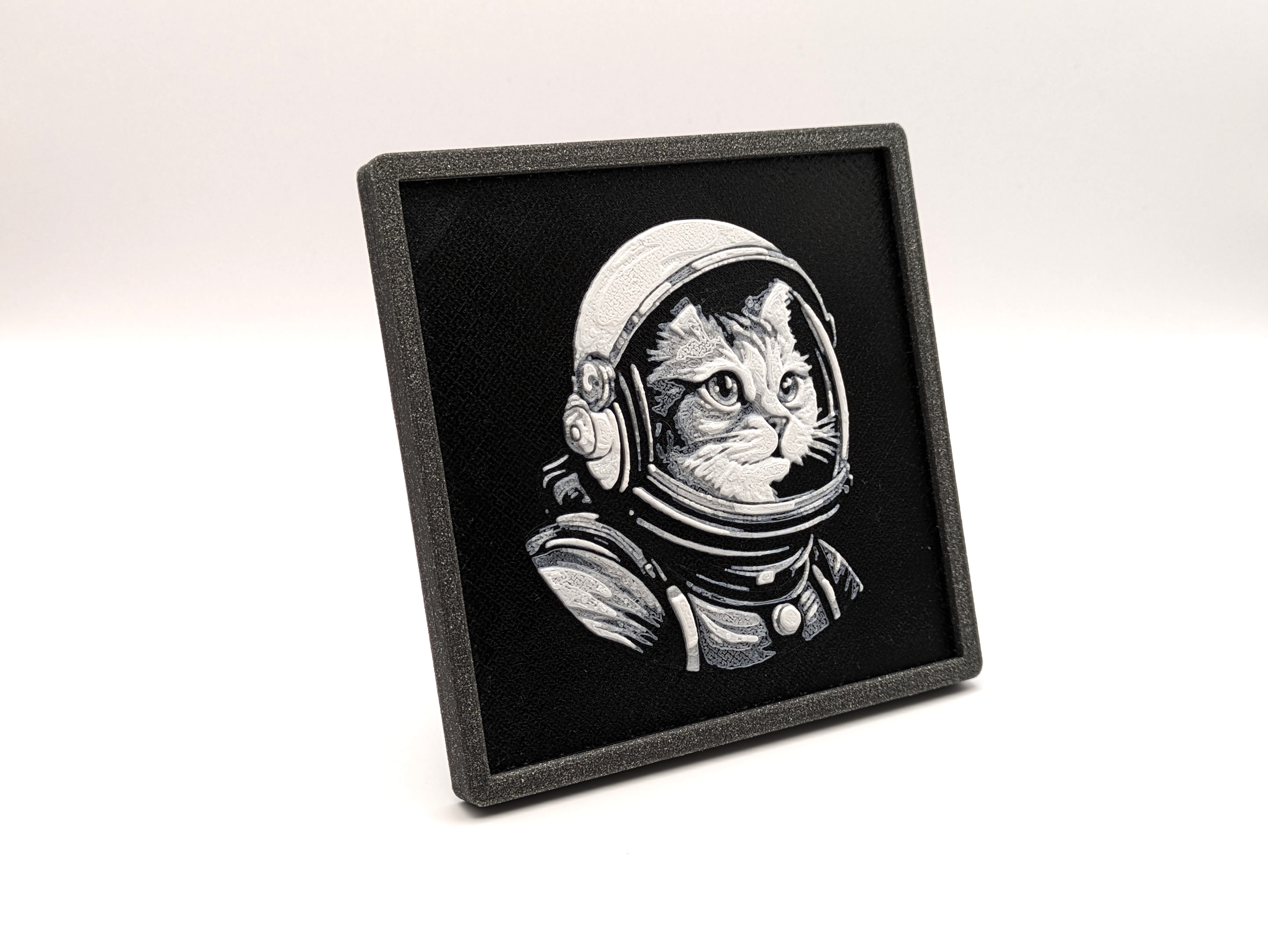Space Cat Portrait
